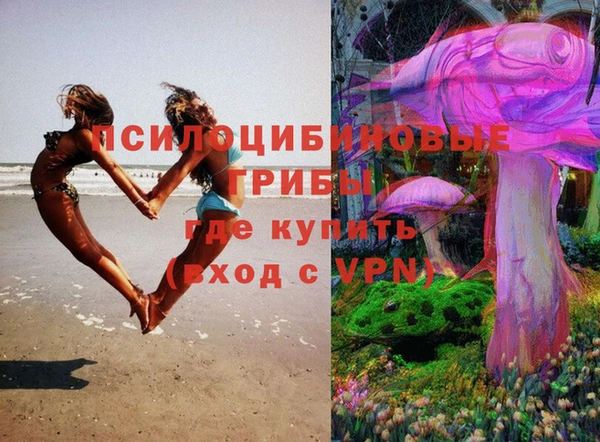 соль курить ск Алзамай