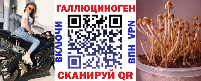 Галлюциногенные грибы Psilocybe  Родники 